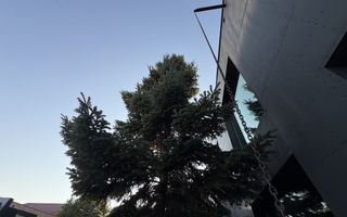 Vila Exclusivista *2223mp teren* / Piscina proprie / 5 garaje / Otopeni - Poză 9