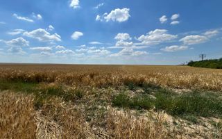 Teren arabil in Nojorid. Investiție sigură la preț excelent - Poză 2