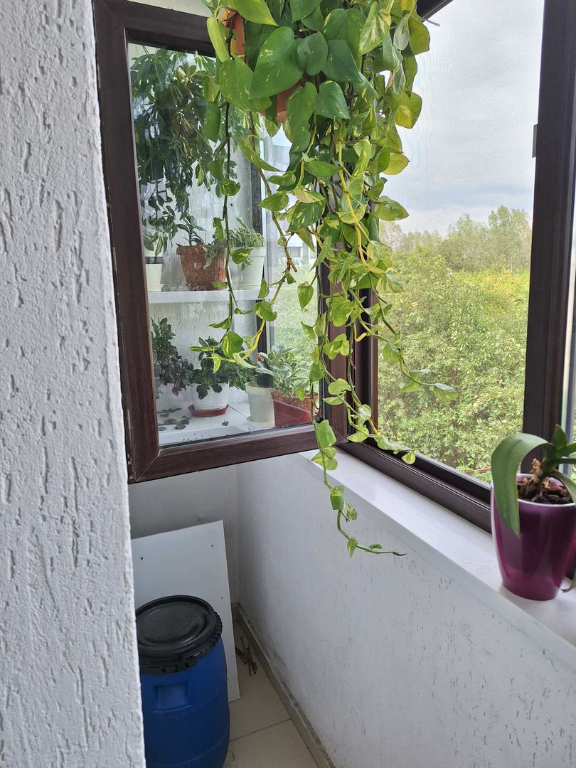 Casa de vanzare Aparatorii Patriei - Poză 1