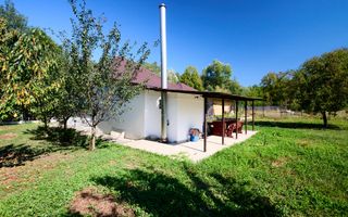 Proprietate deosebita cu doua case si teren generos – Cosesti, Arges - Poză 3