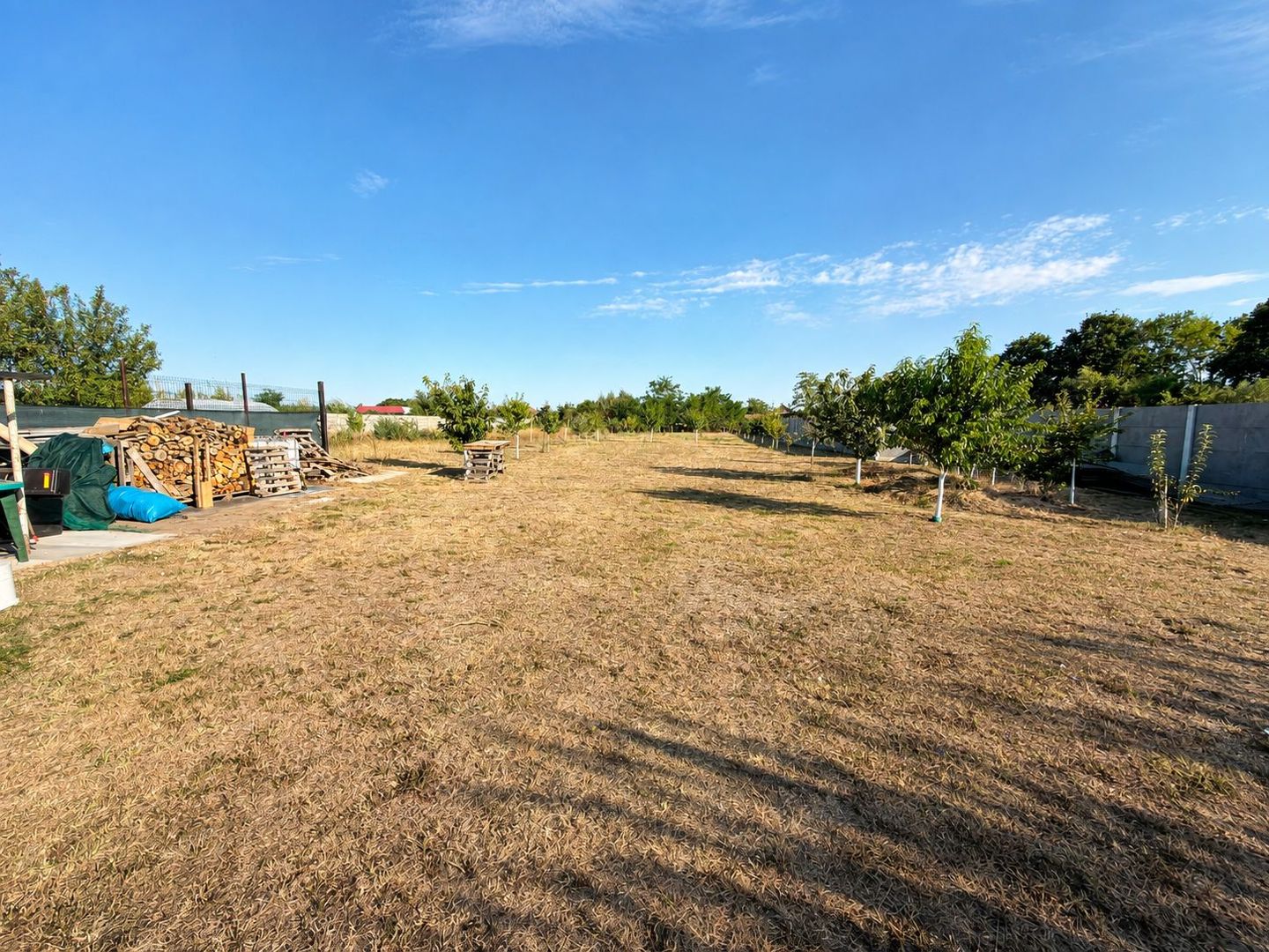 Obad | Casă individuală | 100 mp | Teren până la 2500 mp | Parter - Poză 7