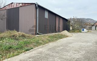 Casa cu 3 Hale si teren 8000 mp in Ulileacu de Cris, Bihor - Poză 5