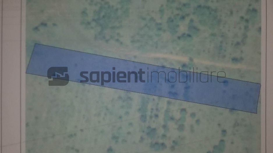 Teren Extravilan Livada Episcopia - Poză 3
