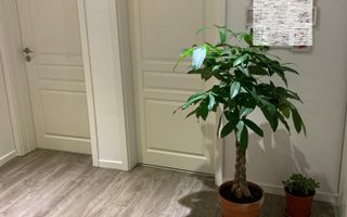 Apartament 4 Camere Renovat Complet Berceni - Poză 2