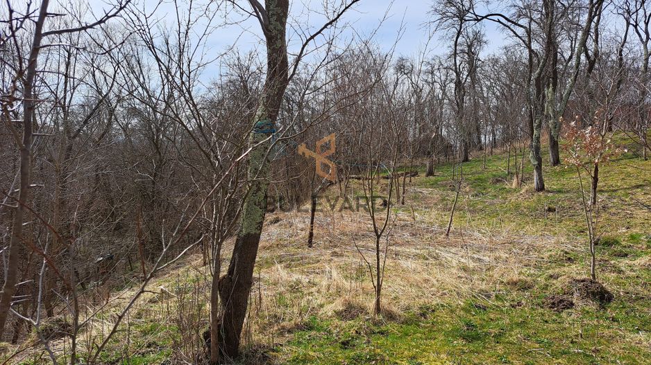 Teren intravilan 2200 mp in Ciurila la 16 km de Cluj-Napoca! - Poză 7