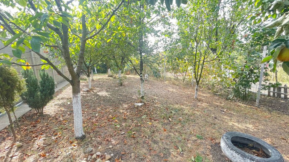 Casa de vanzare zona Bogdanesti - Poză 3