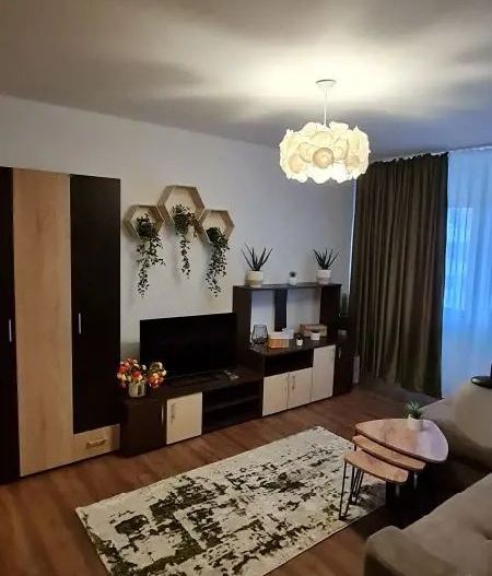 Apartament 2 camere de vânzare – Zona Gorjului - Poză 3