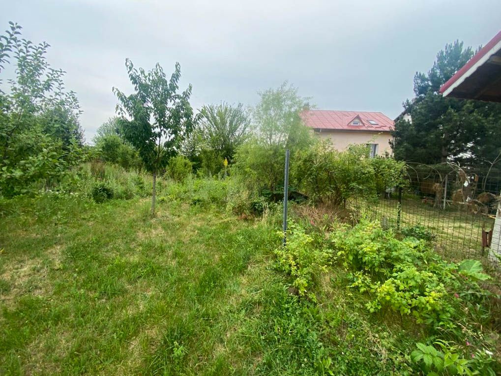 Teren Intravilan de vanzare 3778 mp Branesti Strada Violetelor - Poză 12