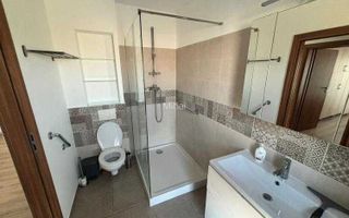 Curte proprie. Zona linistita . Mobilat si utilat - Poză 6