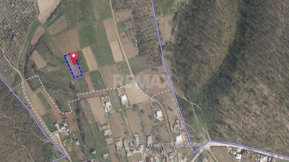 Tabăra/Orhei | 11,62 ari | Teren în inima Codrilor – Ideal pentru evadare în natură sau investiție - Poză 7