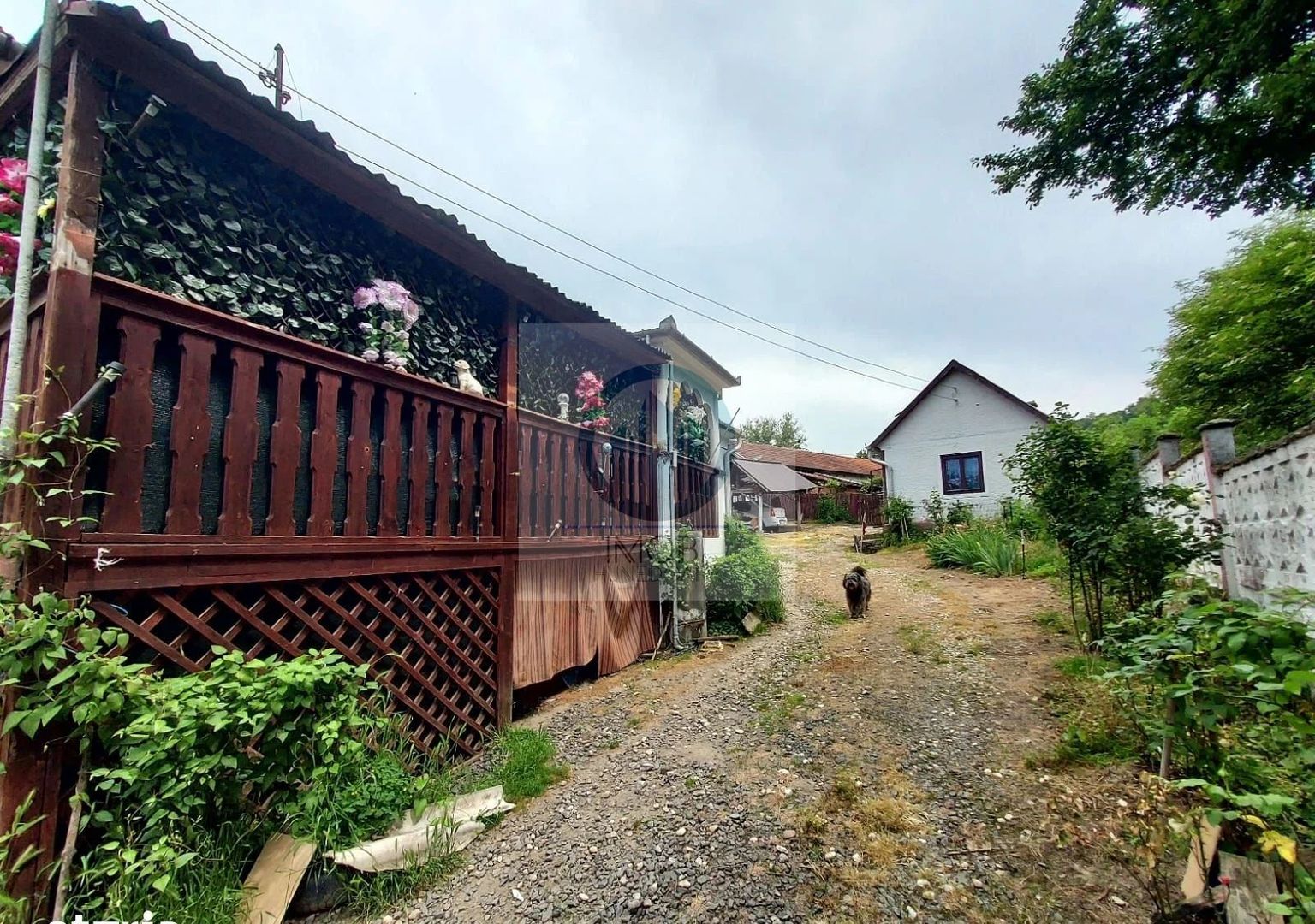 Casa renovata cu teren 7000mp la 19 km de Deva – Sat Nojag, Hunedoara - Poză 4
