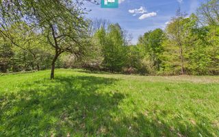 Proprietate rară cu 24.270 mp, în Măgulicea, Arad! - Poză 42