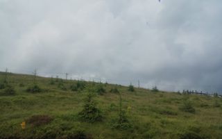 Teren de vanzare in Horezu/Pietrele Rosii/Valcea - Poză 8
