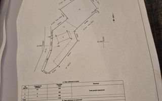 Teren intravilan Dobrovat + Casa Batraneasca - Poză 8