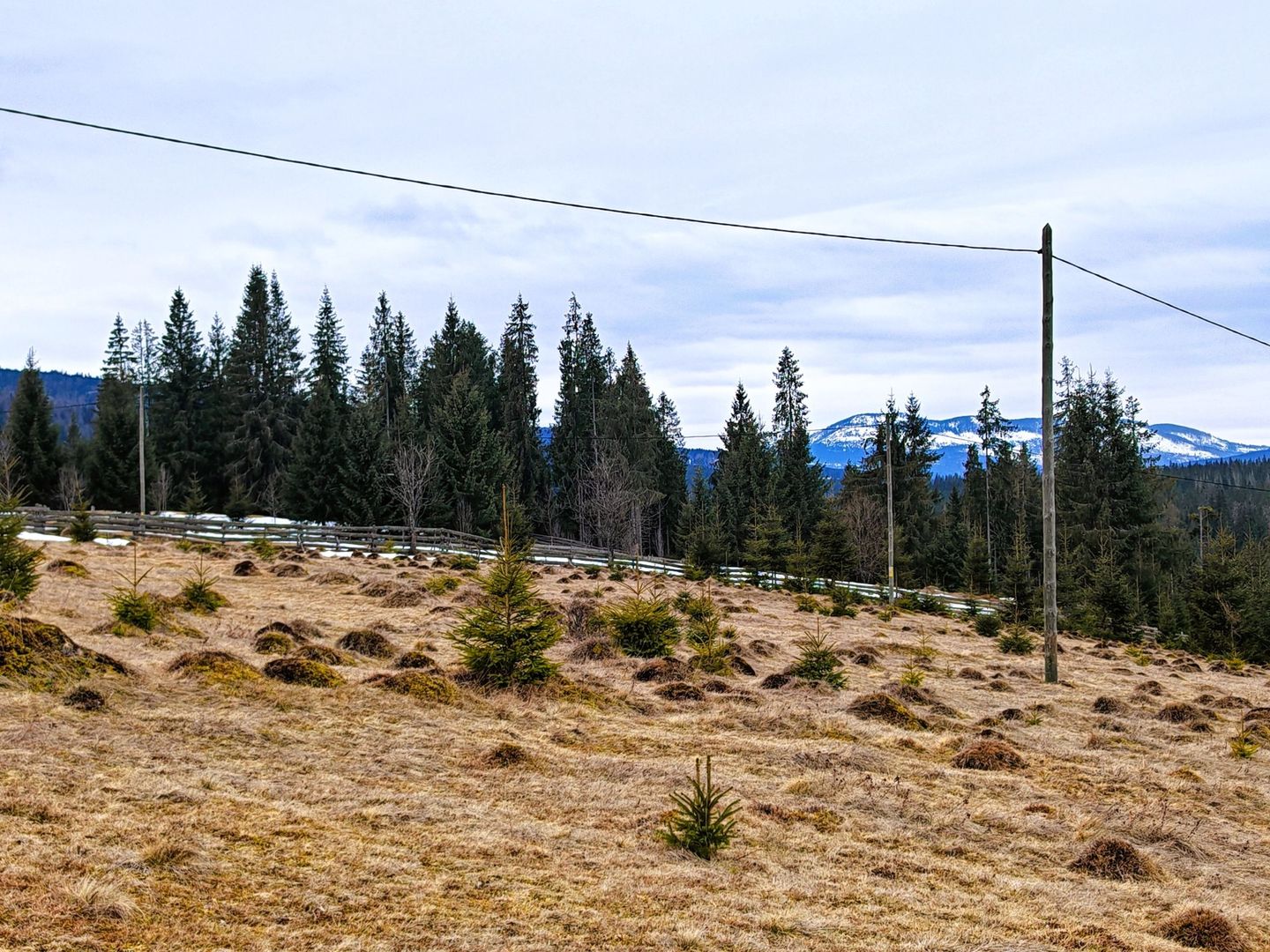 6636 mp TEREN in Statiunea Turistica Montana BELIS – FANTANELE, CLUJ - Poză 4