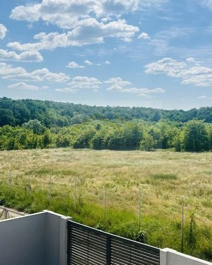 Vila modernă de închiriat pe termen lung – Siliștea Snagovului,  Jacuzzi  Ponton - Poză 18