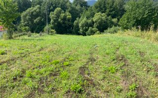 Teren Intravilan | 25 Ari | Voievodeasa - Poză 5