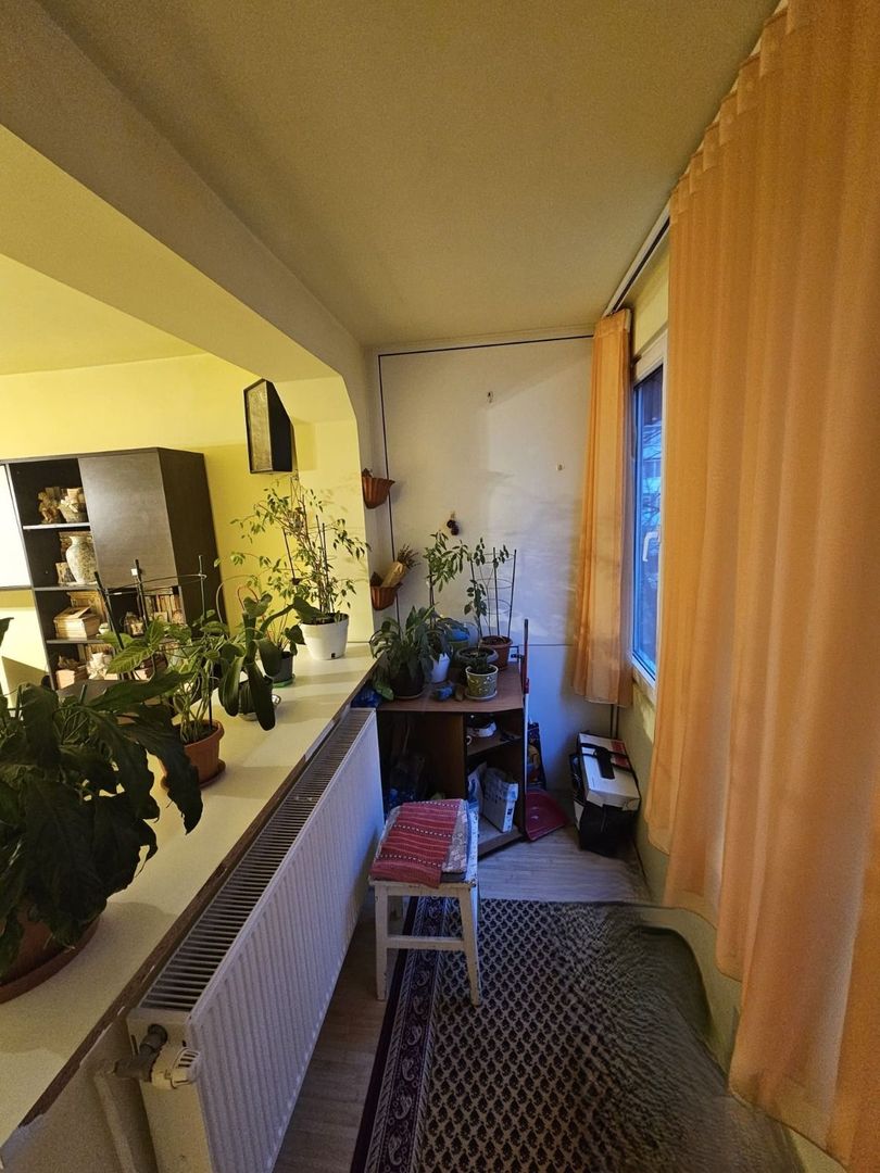 Apartament 3 decomandate- Brazda lui Novac - Poză 11
