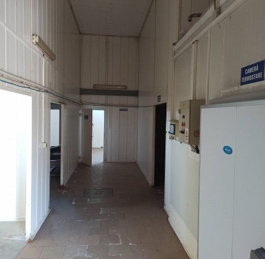 HALA ideala pentru PRODUCTIE ALIMENTARA, Poiana, Ovidiu – 827 mp, teren 4066 mp - Poză 25