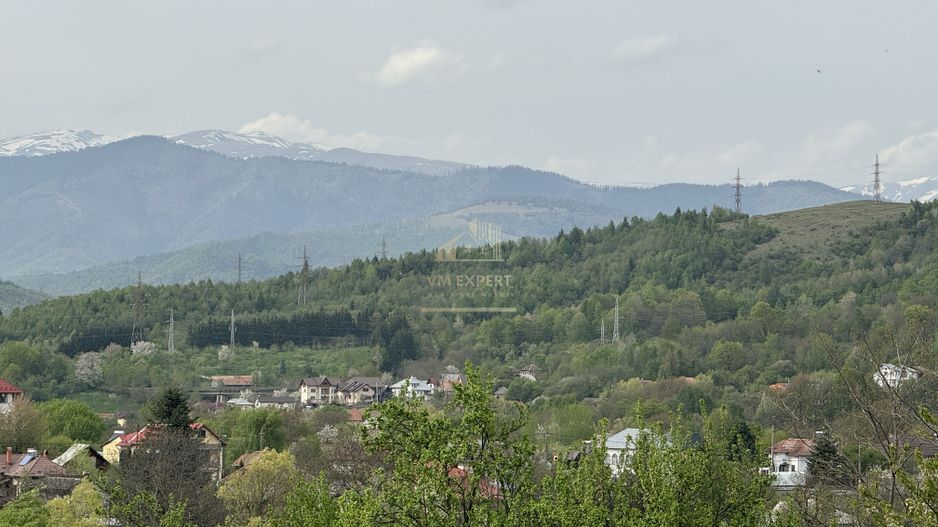 TEREN INTRAVILAN, 7472 MP, VALEA MARE PRAVAT, ARGES - Poză 2