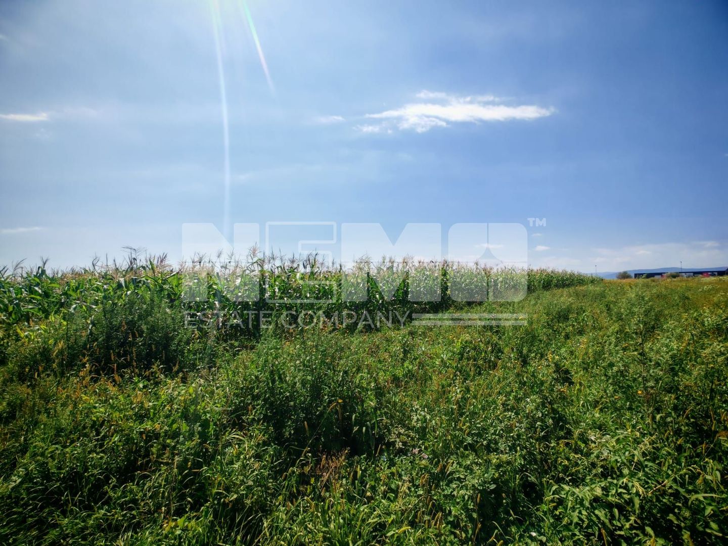 Teren Centura Radauti | 25 Ari | 12 m Front - Poză 1