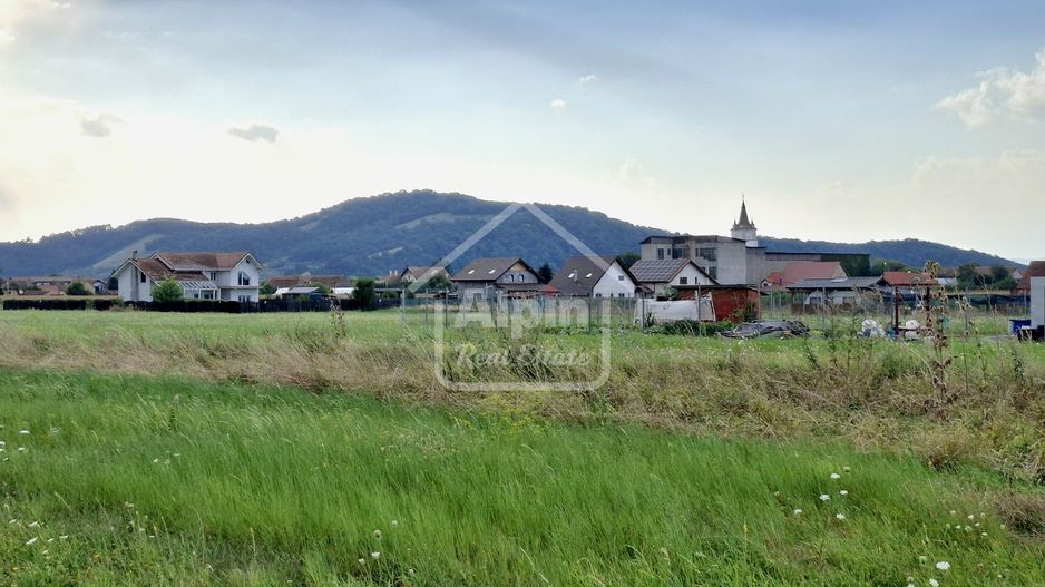 Comision 0% | Teren Pretabil Investitie I Harman Central - Poză 24