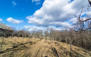 Casa traditionala argeseana – comuna Vedea, jud. Arges - Poză 8
