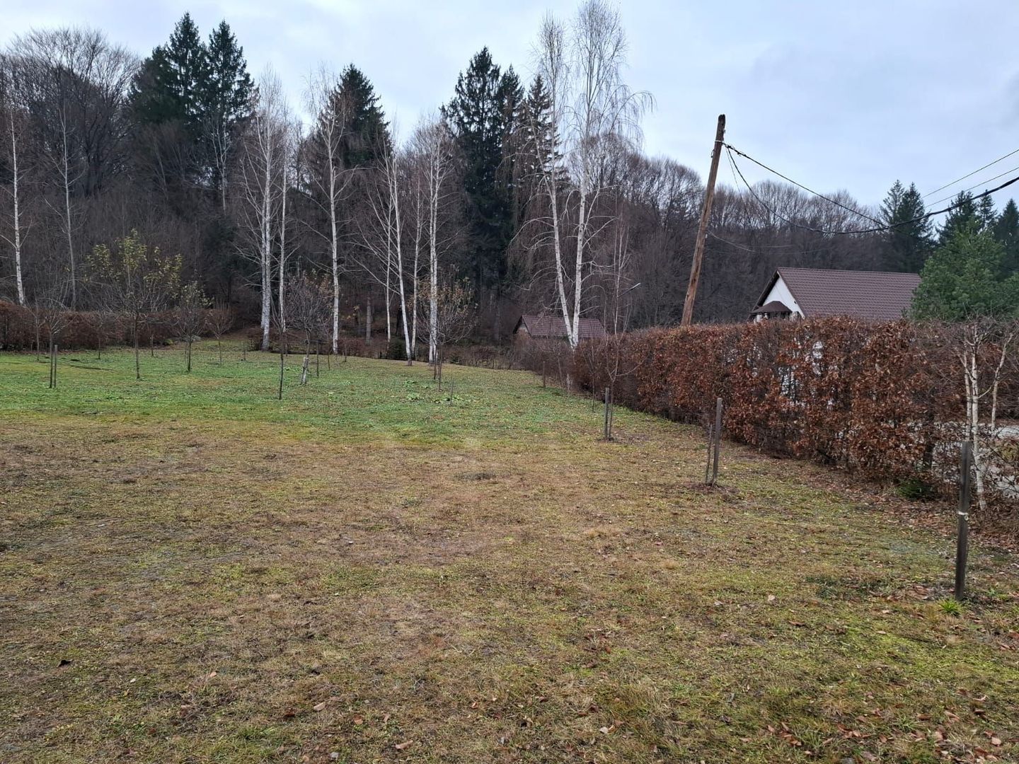 Teren intravilan, livada, langa padure,  pe Valea Avrigului - Sibiu - Poză 7