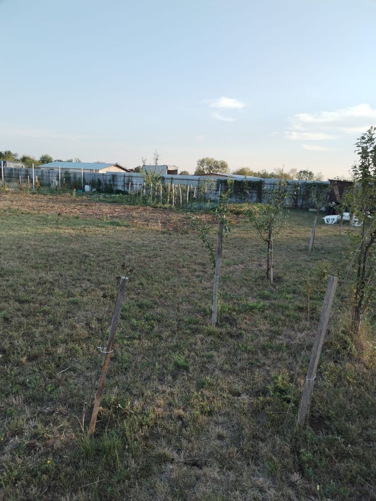 Vand teren intravilan Balta Blonda - Poză 3