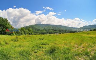 AZURA Imobiliare Pitesti - Casă de vacanță, Nucșoara! - Poză 43