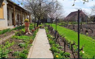 Vand casa in Com.Petresti, ultracentral, 42 ari teren - Poză 1