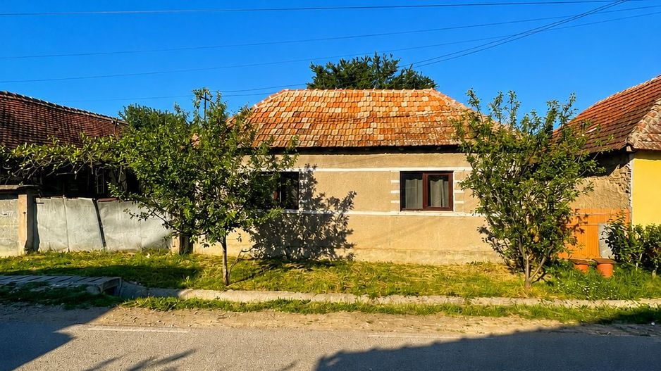 Casa cu 3300mp de teren la 30 de KM de Oradea - Poză 1