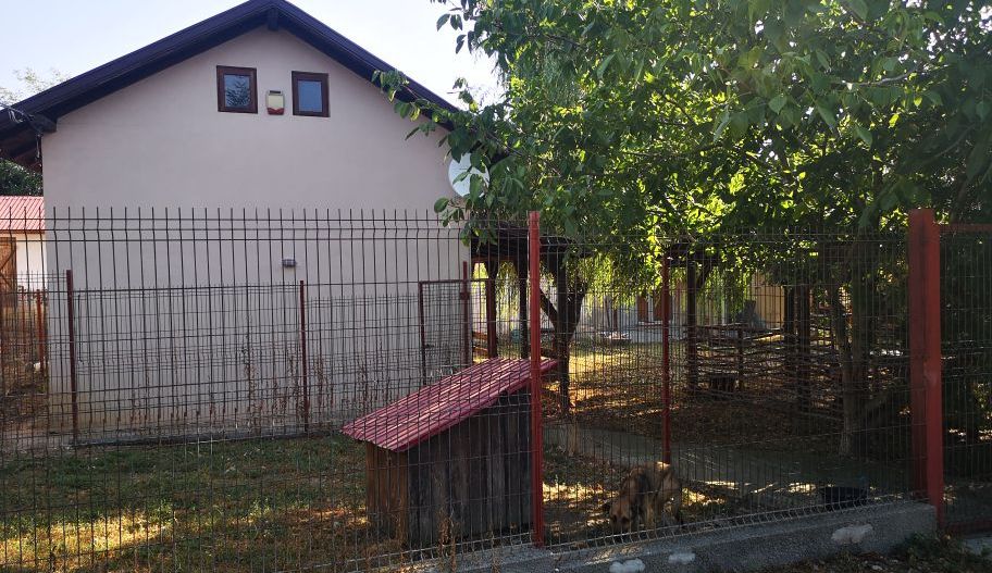 Casa mixta Urziceanca - Poză 5