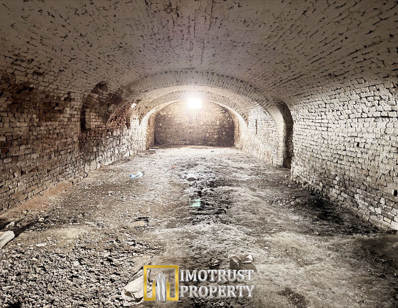 Castel istoric de vânzare în Conop | proprietatea lui Cicio Pop - Poză 6