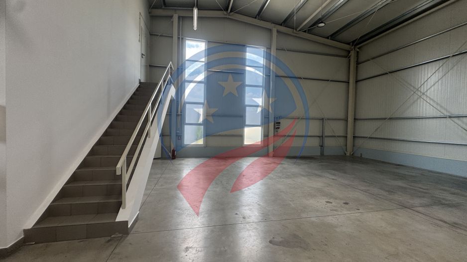 Hala in zona FORD 300-600 mp - Poză 5