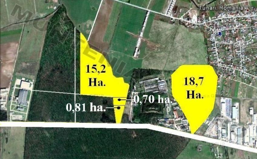 TUNARI - Centura Bucuresti, 16,7 Ha. teren (padure de peste 100 ani) - Poză 1