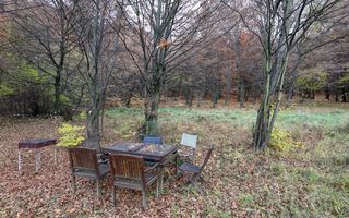 Iesire direct in Padure / Green Park Villas - Poză 8