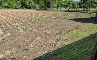 Casa cu 6 camere | Sitari | Bihor - Poză 14