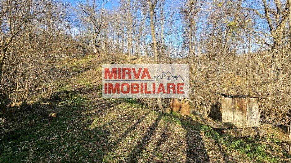 Vanzare casa plus anexa, teren 3843 mp, in Sat Pietriceaua - Poză 6