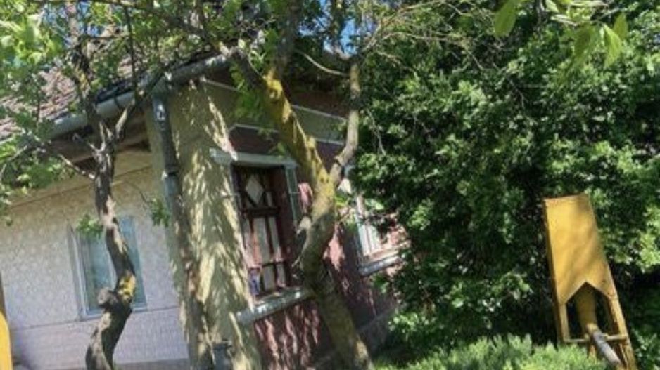 Casa de vanzare- Pret in euro - Poză 8