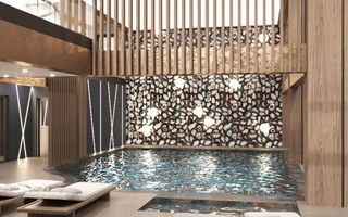 Apartamente de Vânzare, Baile Felix, Complex SPA, 33mp - Poză 4