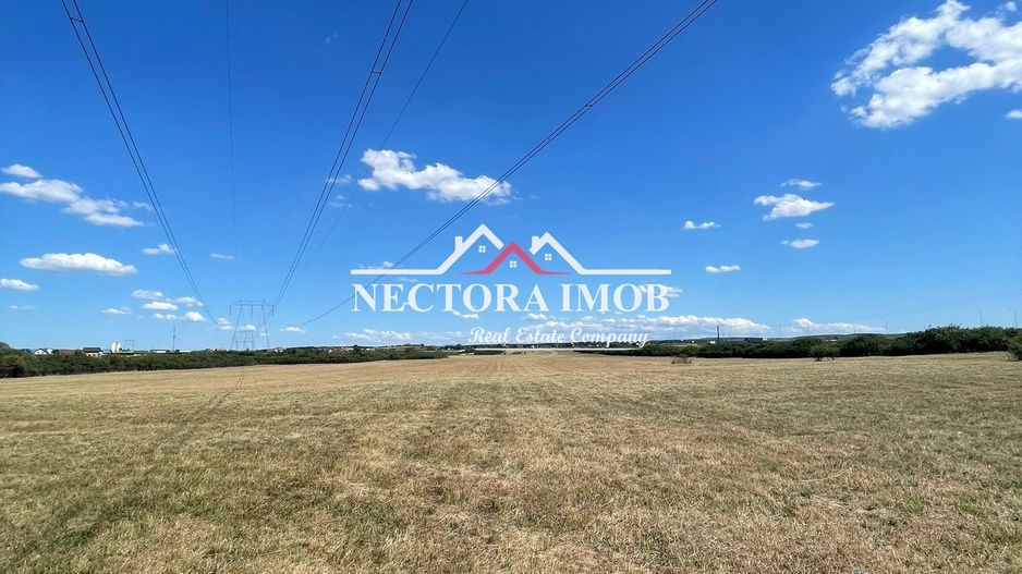 NECTORA IMOB-Teren Zona Osorhei, 5500 mp, 21 ml Front, 210 ml adancime - Poză 3