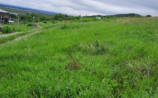 🌳TEREN INTRAVILAN CHIPEREȘTI 440 MP - 12.000 EURO 🏡 - Poză 5