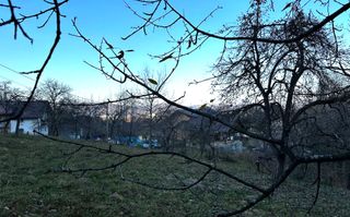 Teren Intravilan cu 2 Deschideri 4000mp Predelut-Bran | GOPO - Poză 10