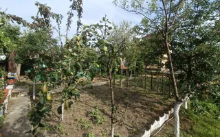 Casă de vanzare cu 4 camere 107 mpu pivnita anexe curte gradina Sebes - Poză 17
