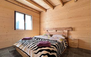 Apartament 1 camera in regim hotelier, Casa TIMIS - Poză 6