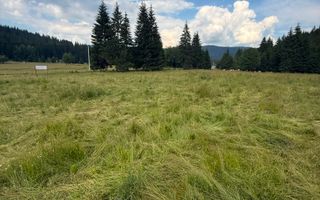 PARCELE DE VÂNZARE, pe malul râului BÂSCA, COMANDAU, COVASNA - Poză 14