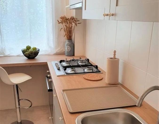 Garsoniera- Banu Manta, Kiseleff - Poză 10