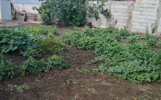 38.000 euro, casa DEMOLABILA cu 440 mp teren in FILESTI - Poză 4