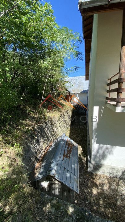 Vila de vanzare, teren 3100 mp, 7 camere, 6 grupuri sanitare, 3 CT, an 1997 - Poză 12